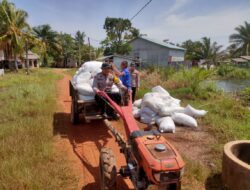 Kapolsek Kendawangan Bersama Kelompok Tani Laksanakan Penanaman Jagung Hibrida