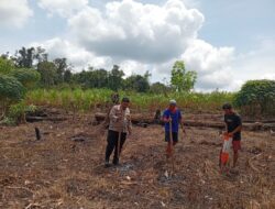Bhabinkamtibmas Polsek Nanga Tayap Laksanakan Penanaman Jagung Hibrida di Desa Pangkalan Teluk
