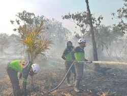 Tim SAR Ditsamapta Polda Kalbar Padamkan Titik Api di Dekat Bandara Supadio