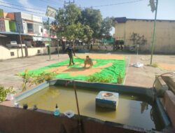 Dukung Ketahanan Pangan Nasional, Personel Polsek Mempawah Hulu Laksanakan Penjemuran Jagung