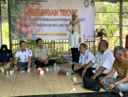 Disbunnak Kalbar Gelar Bimtek pada Petani Kopi Liberika Katab Kebahan
