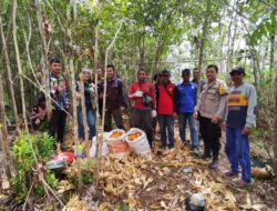 Bintara Penggerak Desa Sungai Keli Aipda Susanto Atung Hadiri Panen Perdana Jagung Program 1 Desa 1 Hektar