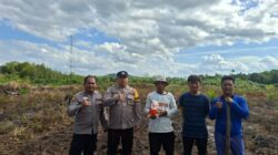 Bhabinkamtibmas Desa Laman Satong Laksanakan Penanaman Jagung Hibrida Bersama Poktan Hilir Utara Makmur