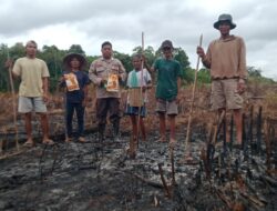 Polsek Jelai Hulu Laksanakan Penanaman Lahan Jagung Hibrida di Desa Pangkalan Suka