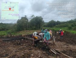 Kapolsek Menyuke Hadiri Kegiatan Penanaman Jagung 1 Desa 1 Hektar Di Desa Mamek