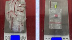 Komitmen Berantas Narkoba, Satnarkoba Polres Ketapang Kembali Amankan Seorang Terduga Pelaku