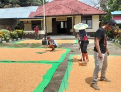 POLSEK MERANTI JEMUR JAGUNG SEBANYAK 2 TON, UNTUK DI ANTAR KE BULOG