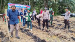 Polsek Ngabang Dan Polsubsektor Jelimpo Laksanakan Penanaman Bibit Jagung Serentak Kuartal I TH 2026