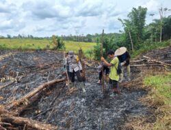 Polsek Ngabang Dukung Ketahanan Pangan, Bhabinkamtibmas Bersama Kelompok Tani Tanam Jagung di Desa Muun