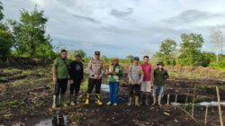 Polsek Matan Hilir Utara Dukung Ketahanan Pangan Nasional Melalui Penanaman Jagung Hibrida