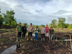 Polsek Matan Hilir Utara Dukung Ketahanan Pangan Nasional Melalui Penanaman Jagung Hibrida