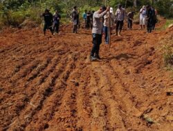 Dukung Ketahanan Pangan, Polsek Simpang Dua Laksanakan Penanaman Jagung Hibrida Bersama PT. MKS