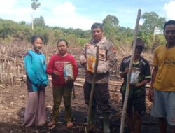 Kapolsek Jelai Hulu Pimpin Penanaman Jagung Hibrida di Desa Pangkalan Suka, Dukung Ketahanan Pangan Nasional