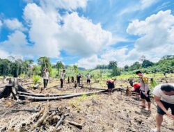 Kapolsek Simpang Dua Pimpin Penanaman Jagung Hibrida, Wujud Sinergitas Dukung Ketahanan Pangan Nasional