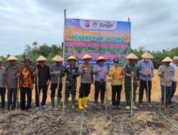 Sukseskan Program Ketahanan Pangan, Polsek Manis Mata Bersama Forkopimcam Tanah Jagung Hibrida Di Desa Manis Mata