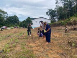 Gerakan Mandiri di Lahan Warga: Penanaman Jagung di Mandor Kiru Dukung Ketahanan Pangan Nasional