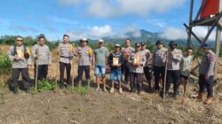 Dukung Program Ketahanan Pangan, Kapolsek Tumbang Titi Gandeng Pemerintahan Desa Untuk Tanam Bibit Jagung Hibrida