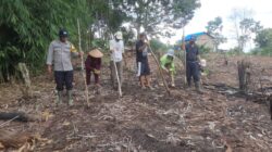 Polsek Nanga Tayap Bersama Poktan Bongang Bedulur Laksanakan Penanaman Jagung Hibrida Dukung Ketahanan Pangan Nasional