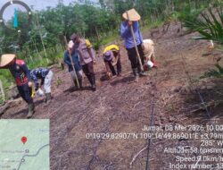 Semangat Ketahanan Pangan! Polsek Mandor Bersama KWT Dahlia Tanam Jagung di Lahan 2 Hektar