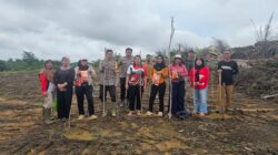 *Polsek Sandai Bersama Pemerintah Desa dan Kelompok Tani Laksanakan Penanaman Jagung Hibrida di Desa Jago Bersatu