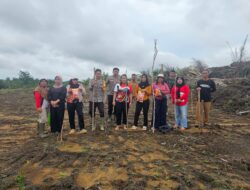 *Polsek Sandai Bersama Pemerintah Desa dan Kelompok Tani Laksanakan Penanaman Jagung Hibrida di Desa Jago Bersatu