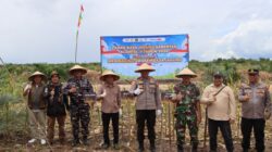 Polres Ketapang Bersama Forkopimda dan Kelompok Tani Laksanakan Panen Raya Jagung Serentak Kuartal II Tahun 2026 di Kecamatan Muara Pawan