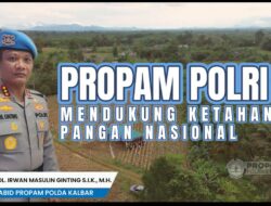 Bidpropam Polda Kalbar bersama Polres Bengkayang Panen Raya Jagung, Polri dan Masyarakat Perkuat Swasembada Pangan Nasional