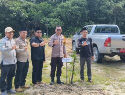 Sinergi Hijau di Sungai Tebelian, Penanaman Pohon Jadi Simbol Kepedulian Lingkungan
