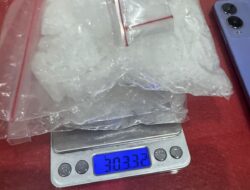 Polres Ketapang Ungkap 3 Ons Sabu Dari Prngrusakan Jagung Ketahanan Pangan. Lanjut Dalami Dugaan Ketelibatan 3 Oknum Personil Polri