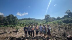 Dukung Ketahanan Pangan Nasional, Penanaman Jagung Hibrida Dilaksanakan di Desa Semandang Kanan Kecamatan Simpang Dua