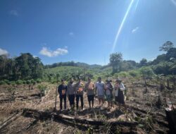 Dukung Ketahanan Pangan Nasional, Penanaman Jagung Hibrida Dilaksanakan di Desa Semandang Kanan Kecamatan Simpang Dua
