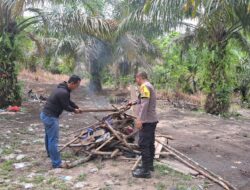 Polsek Belitang Hilir Bongkar Arena Sabung Ayam di Dusun Beruduk