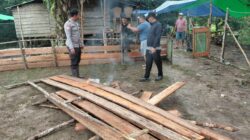Kembali Tertibkan Arena Sabung Ayam, Polisi Bongkar Kelang di Desa Tapang Pulau