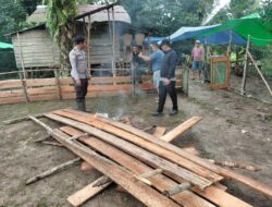 Kembali Tertibkan Arena Sabung Ayam, Polisi Bongkar Kelang di Desa Tapang Pulau