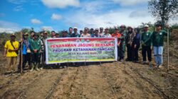 Kapolsek Sungai Tebelian Turun ke Lahan, Penanaman Jagung Hibrida Jadi Langkah Nyata Perkuat Ketahanan Pangan