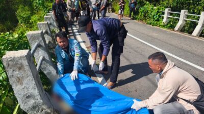 Pengendara Motor Meninggal dalam Kecelakaan Tunggal di Nanga Mahap