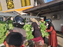 Sambut Hari Bhayangkara ke-80, Satlantas Polres Sekadau Ajak Warga Panen Sawi Hidroponik