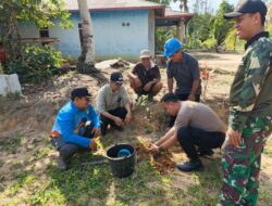 Tokoh Masyarakat dan Warga Manis Mata Gotong Royong Wujudkan Indonesia ASRI Melalui Aksi Bersih Lingkungan dan Penanaman Pohon