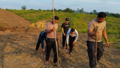 Sinergi Polsek Sekadau Hilir dan Petani Wujudkan Lahan Jagung Produktif di Sungai Ringin