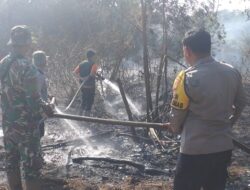 Sinergi Polri, TNI, BPBD dan Masyarakat, Personel Polsek Muara Pawan Berjibaku Padamkan Karhutla di Desa Tempurukan
