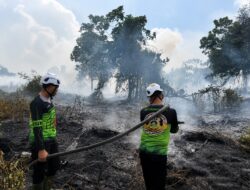 Tim SAR Ditsamapta Polda Kalbar Padamkan Titik Api Sisa Karhutla di Belakang Bandara Supadio