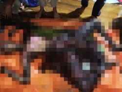 Karhutla di Jalan Pelang–Kepuluk Satu Orang Meninggal Saat Terjebak Kobaran Api
