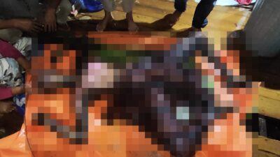 Karhutla di Jalan Pelang–Kepuluk Satu Orang Meninggal Saat Terjebak Kobaran Api