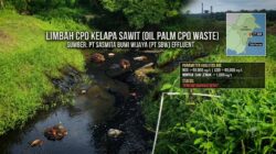 PT Sasmita Bumi Wijaya (PT SBW) Buang Limbah CPO Sembarangan, Kepala Desa Binjai Murka Meledak