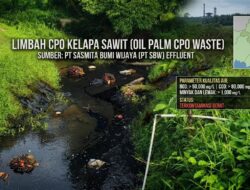 PT Sasmita Bumi Wijaya (PT SBW) Buang Limbah CPO Sembarangan, Kepala Desa Binjai Murka Meledak