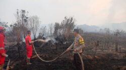 Kebakaran Lahan Hanguskan 3 Hektare di Desa Manter, Tim Gabungan Berjibaku Padamkan Api