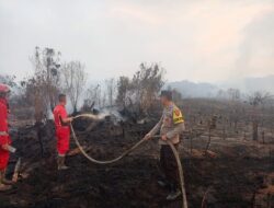 Kebakaran Lahan Hanguskan 3 Hektare di Desa Manter, Tim Gabungan Berjibaku Padamkan Api