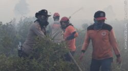 Tim Damkarhutla Polres Ketapang Gerak Cepat Padamkan Karhutla di Km 8 Pelang–Kepuluk